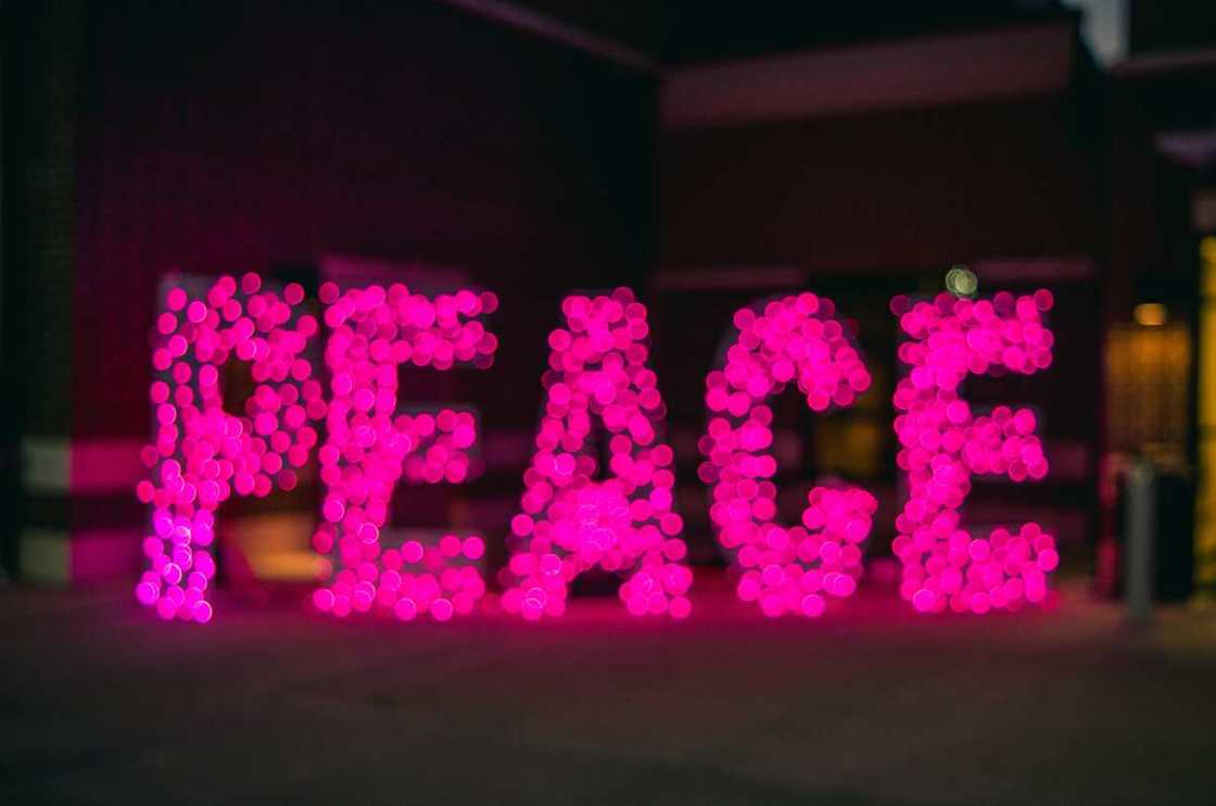 Function of ensuring peace in a state Function of ensuring peace in a state
