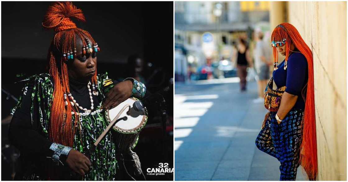 Photos of Ara Photos of Ara