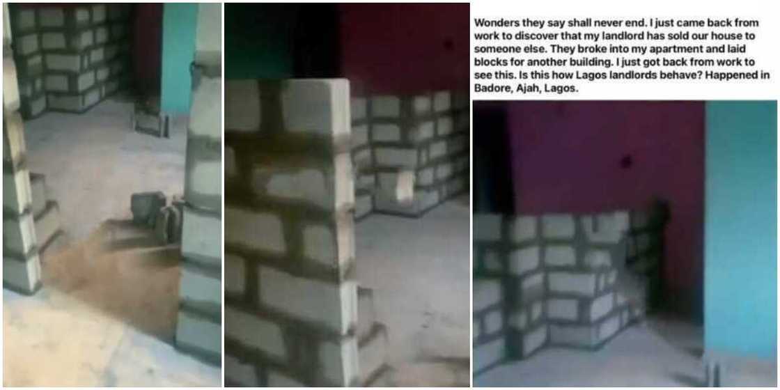 This isn't funny; Nigerian lady cries out as she returns from work to find laid blocks inside her apartment, social media reacts This isn't funny; Nigerian lady cries out as she returns from work to find laid blocks inside her apartment, social media reacts