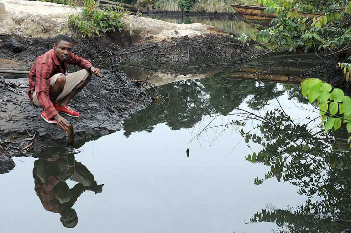 Oil spill shell to pay compensation Oil spill shell to pay compensation