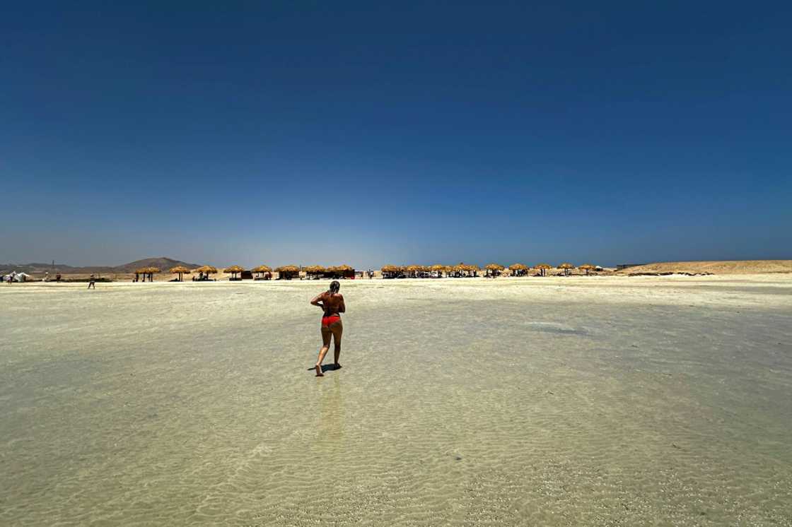 Ras Hankorab sits inside Wadi al-Gemal National Park, declared a protected area in 2003 Ras Hankorab sits inside Wadi al-Gemal National Park, declared a protected area in 2003
