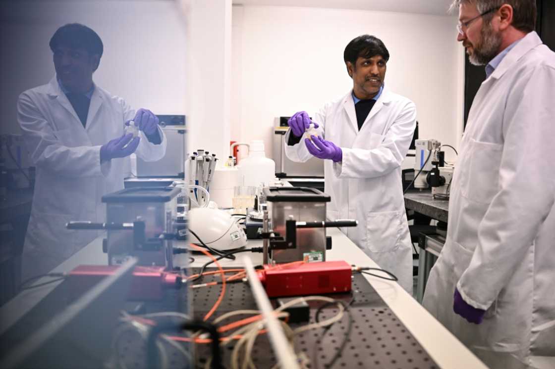 Researchers led by Steven Daniels (R) use a hot plate to melt honey before analysing it