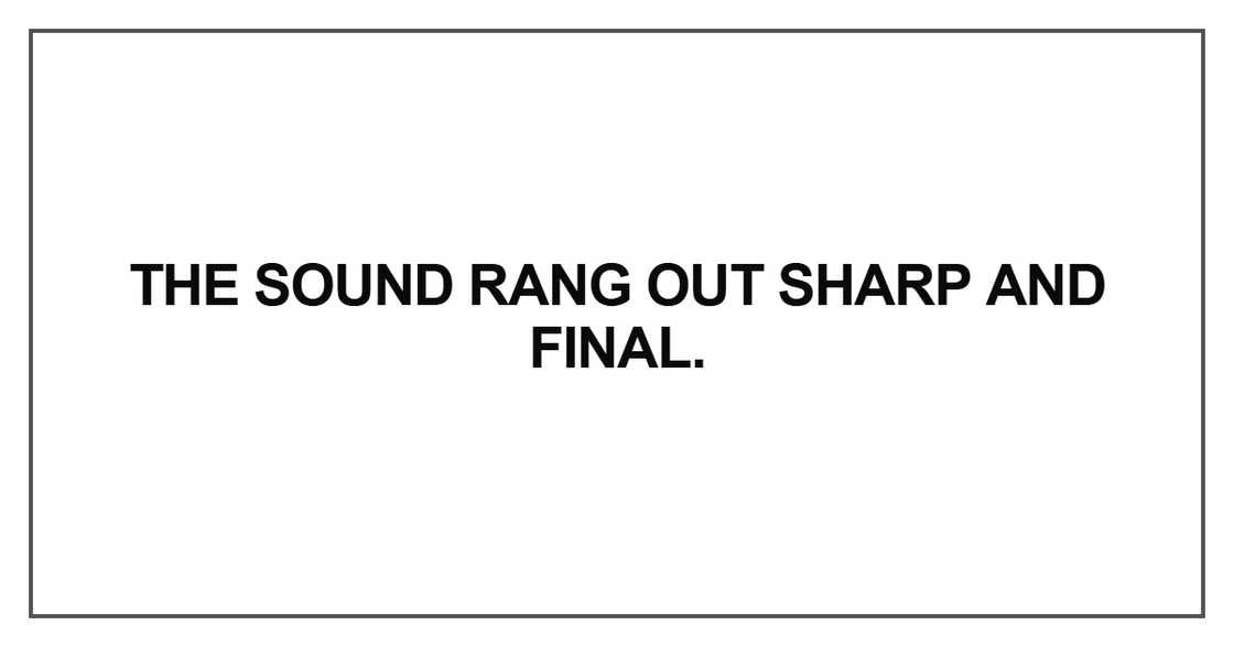 The sound rang out sharp and final