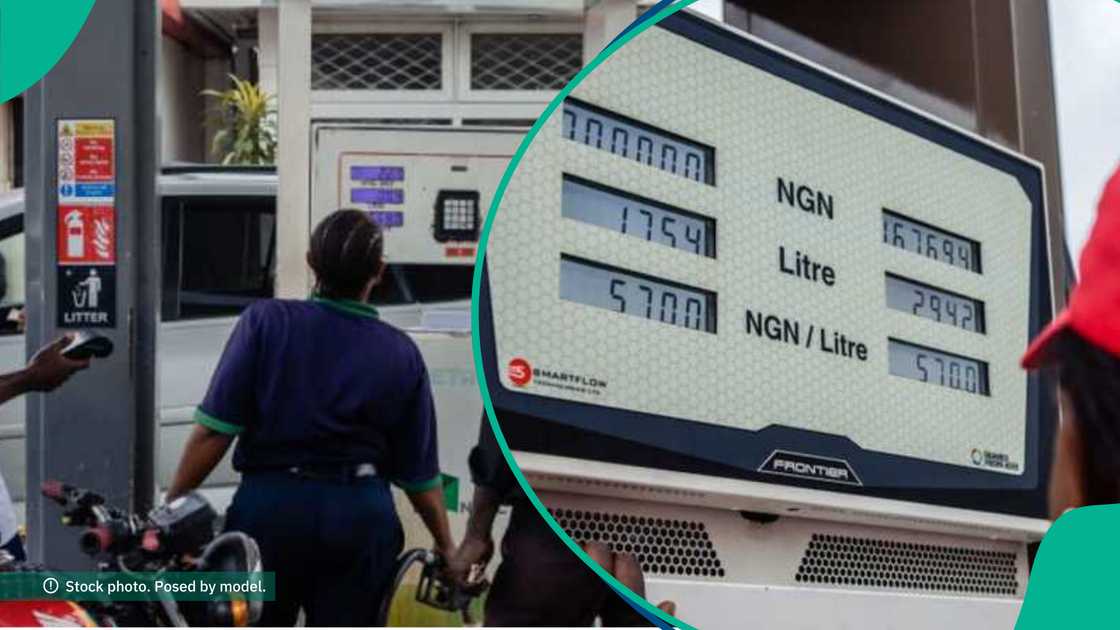 Dangote petrol prices at Ardova, MRS, Heyden as cost of fuel rises in Lagos, Abuja, others across Nigeria. Dangote petrol prices at Ardova, MRS, Heyden as cost of fuel rises in Lagos, Abuja, others across Nigeria.
