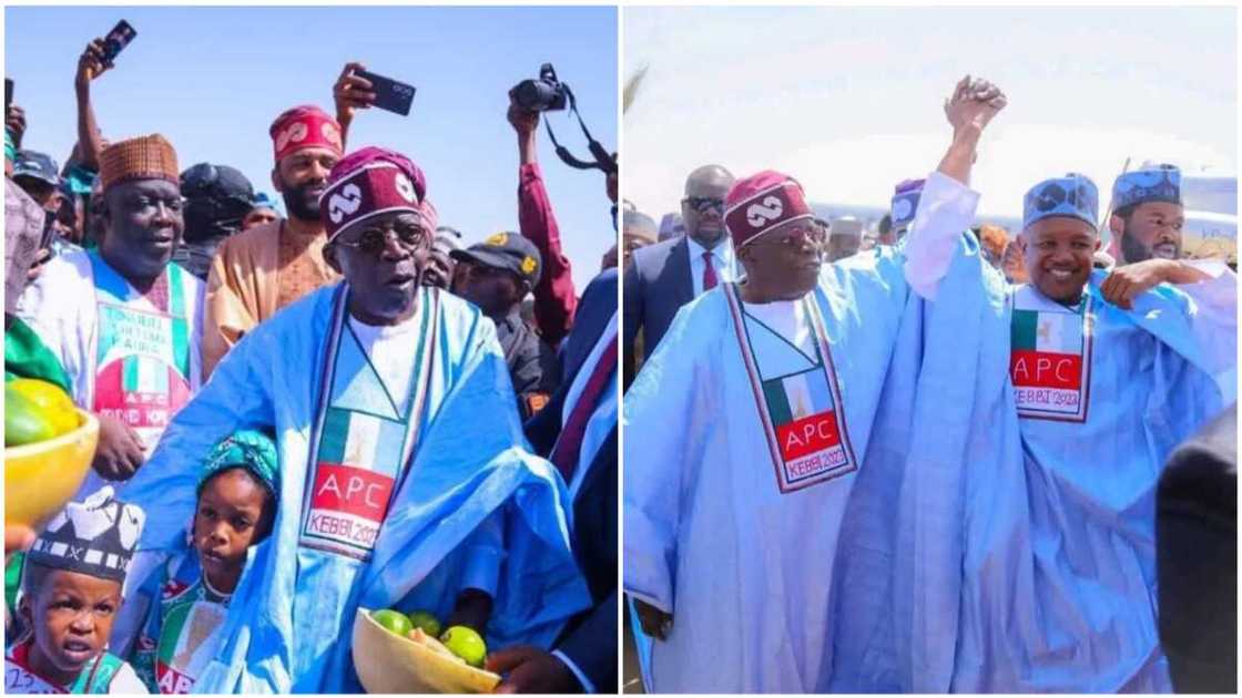 Bola Tinubu/APC/Abubakar Malami/Atiku Bagudu/2023 Election