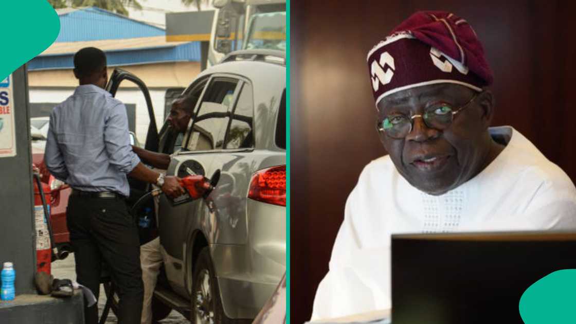 Shugaba Bola Ahmed Tinubu