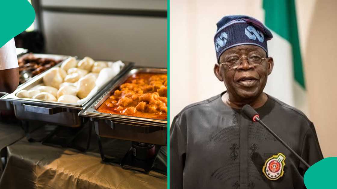 Was There an Attempt by Aso Rock Kitchen Staff to Poison President Tinubu? Fact Emerges