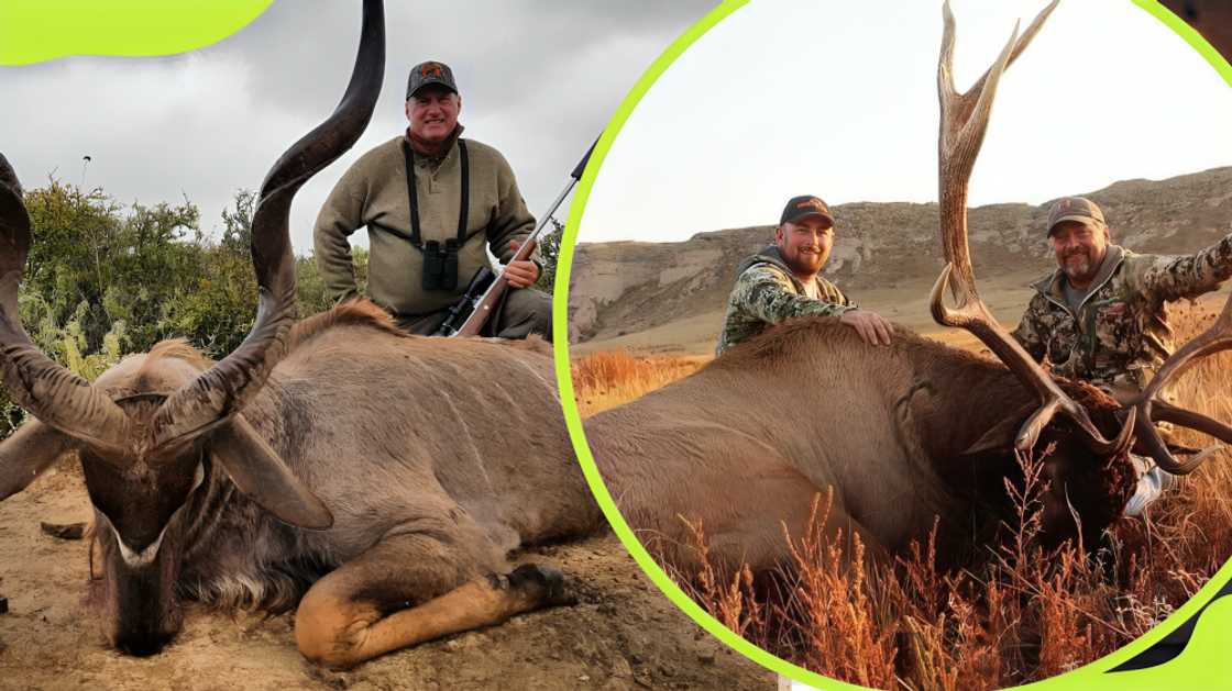 most expensive sports in the world most expensive sports in the world