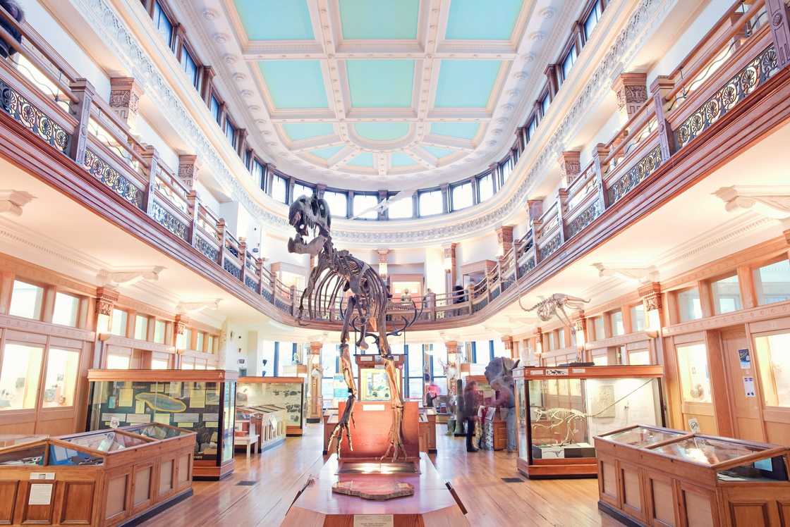An interior look at the Redpath Museum at McGill University in Montreal, Canada.