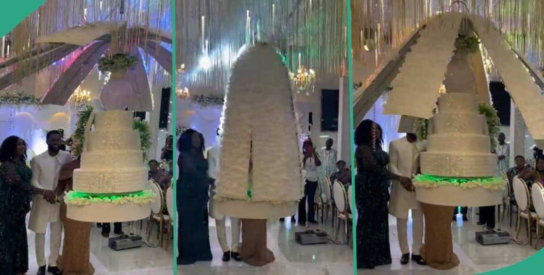 Wedding cake descends from 'heaven' at reception and stuns guests Wedding cake descends from 'heaven' at reception and stuns guests