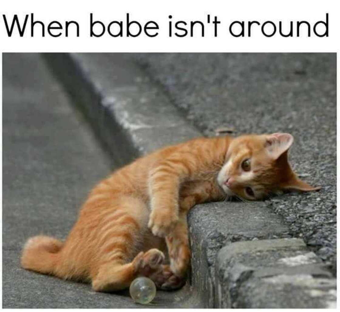 flirting meme flirting meme