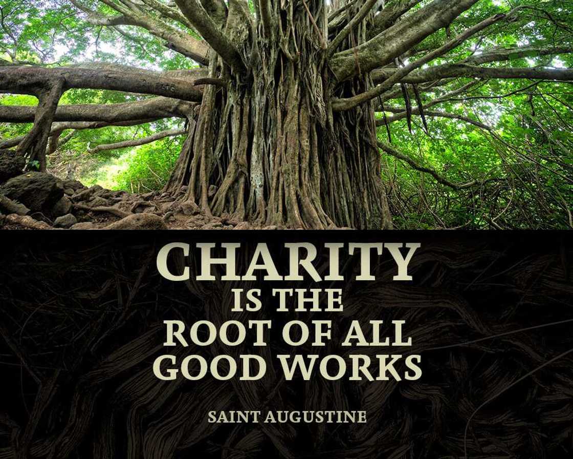 Charity quotes Charity quotes