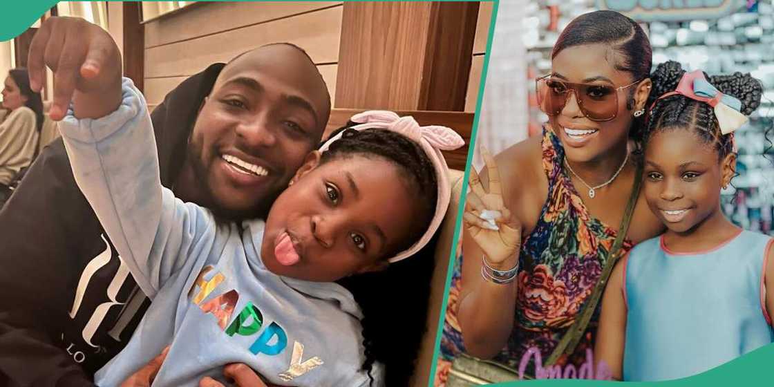 Fans react after Stella Dimoko defends Sophia Momodu. Fans react after Stella Dimoko defends Sophia Momodu.