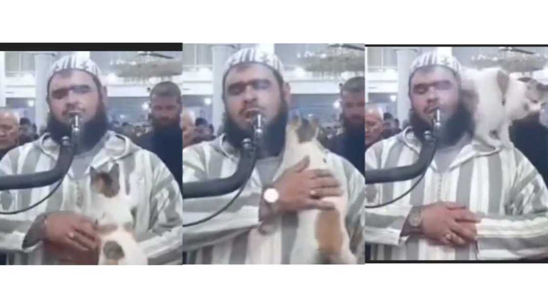 Algerian Iman received August visitor while praying Algerian Iman received August visitor while praying