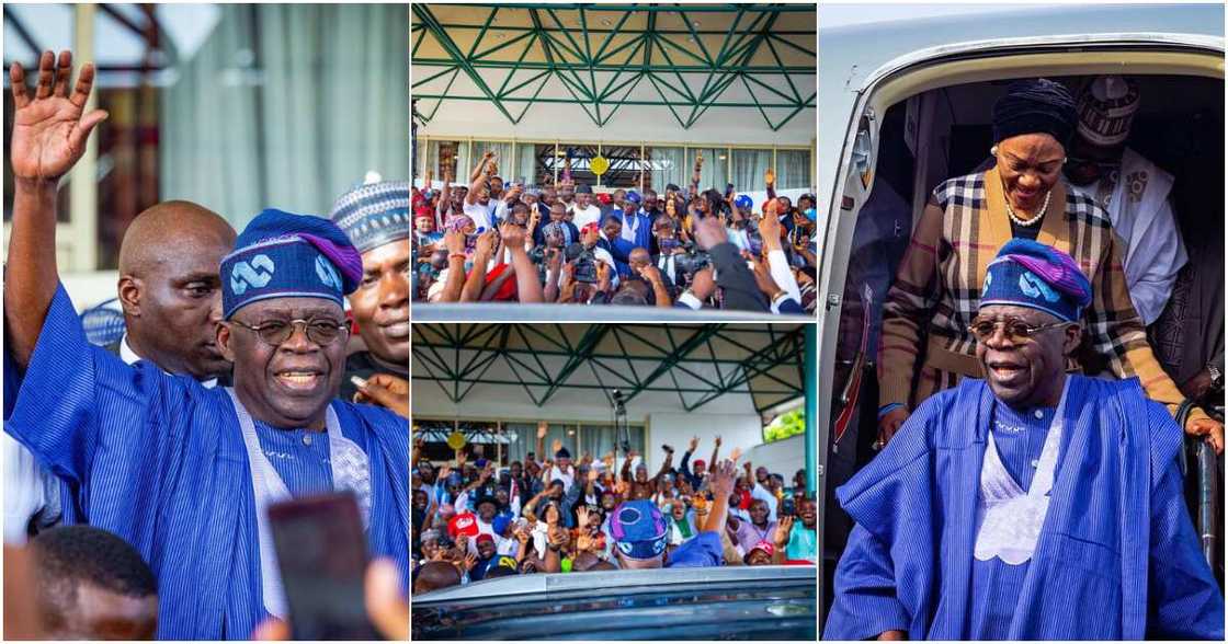 APC, Bola Tinubu, 2023 elections APC, Bola Tinubu, 2023 elections