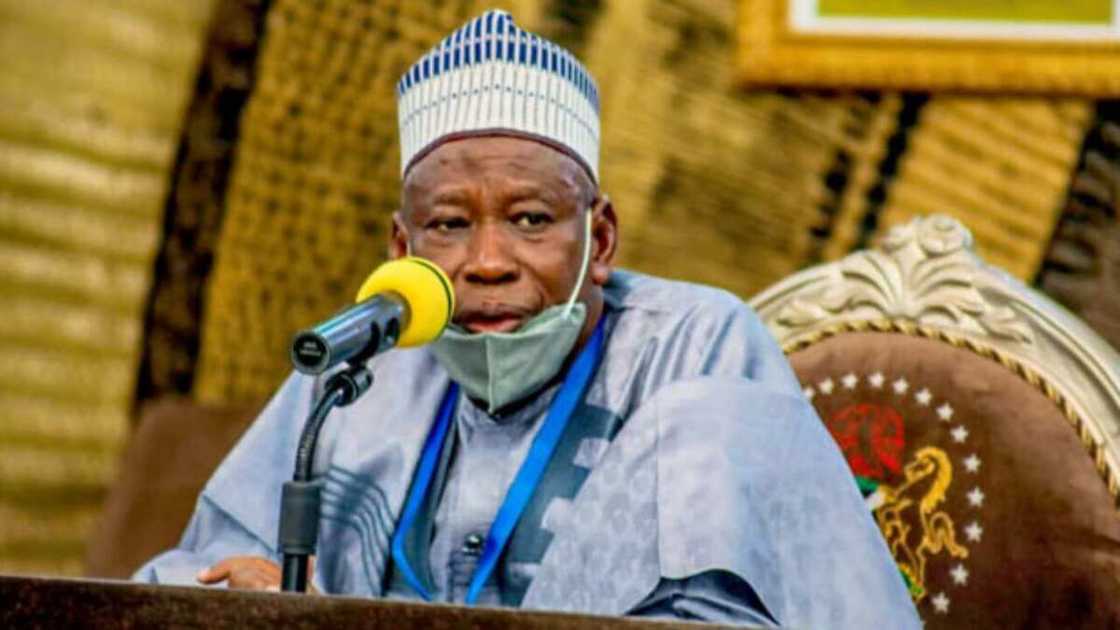 Babu wasu ‘yan bindigan da suka yi sansani a Dajin Falgore na Kano - Ganduje Babu wasu ‘yan bindigan da suka yi sansani a Dajin Falgore na Kano - Ganduje