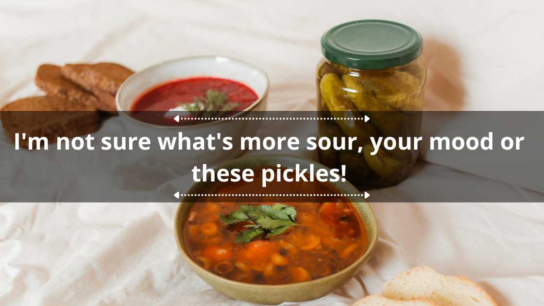 Best pickle puns, one-liners