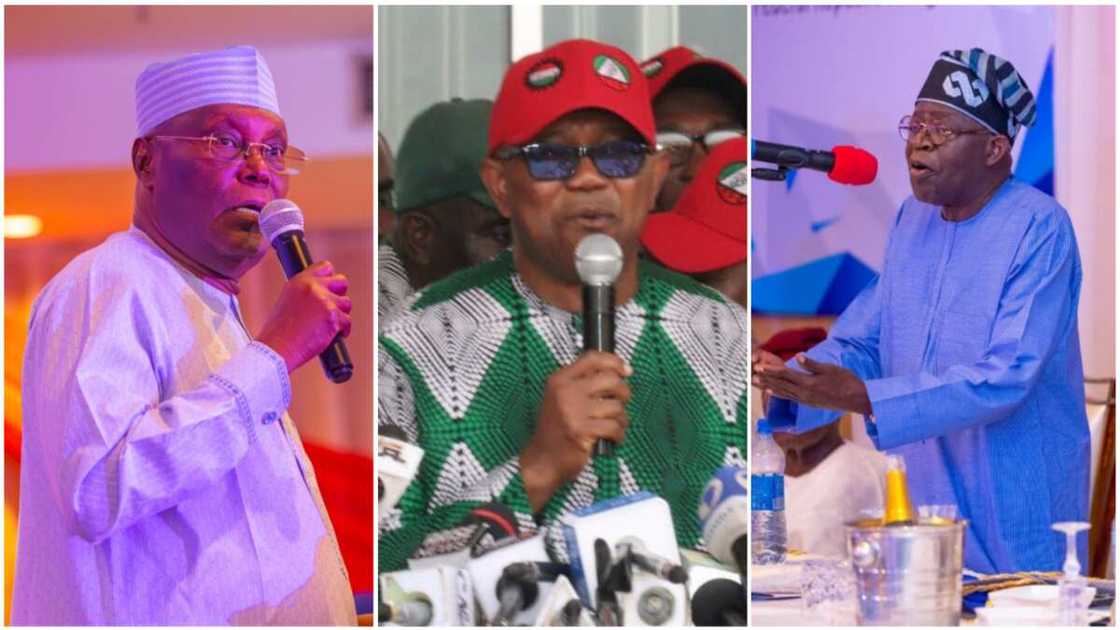 Bola Tinubu/Atiku Abubakar/Peter Obi/PDP/APC/Labour Party/JUSUN/NLC/Fuel Subsidy Bola Tinubu/Atiku Abubakar/Peter Obi/PDP/APC/Labour Party/JUSUN/NLC/Fuel Subsidy