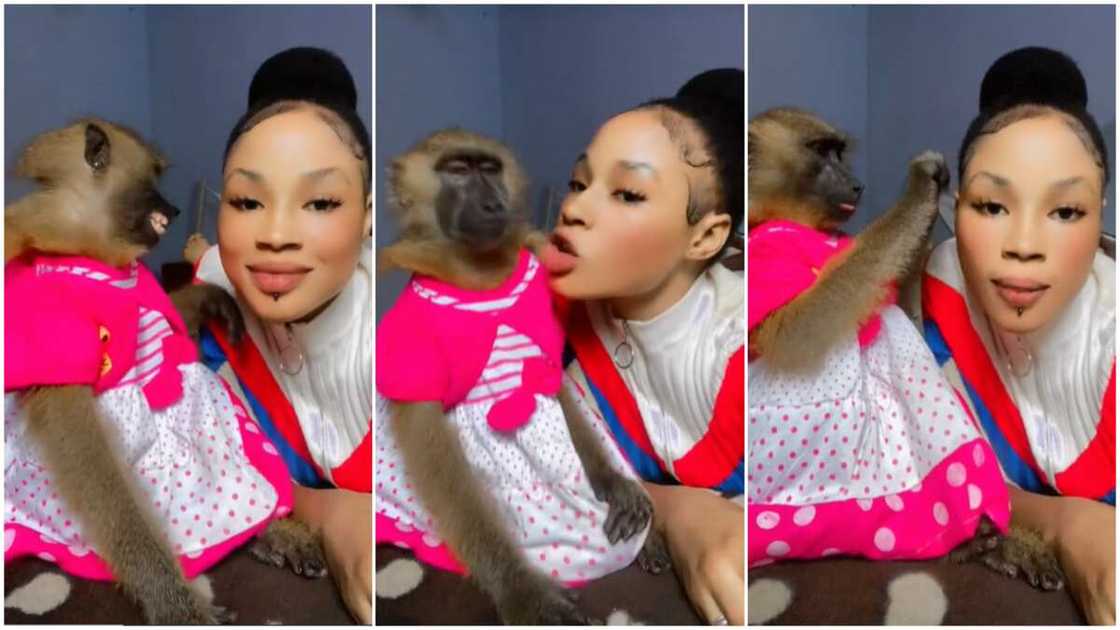 Lady kissed her pet/Monkey with earring. Lady kissed her pet/Monkey with earring.