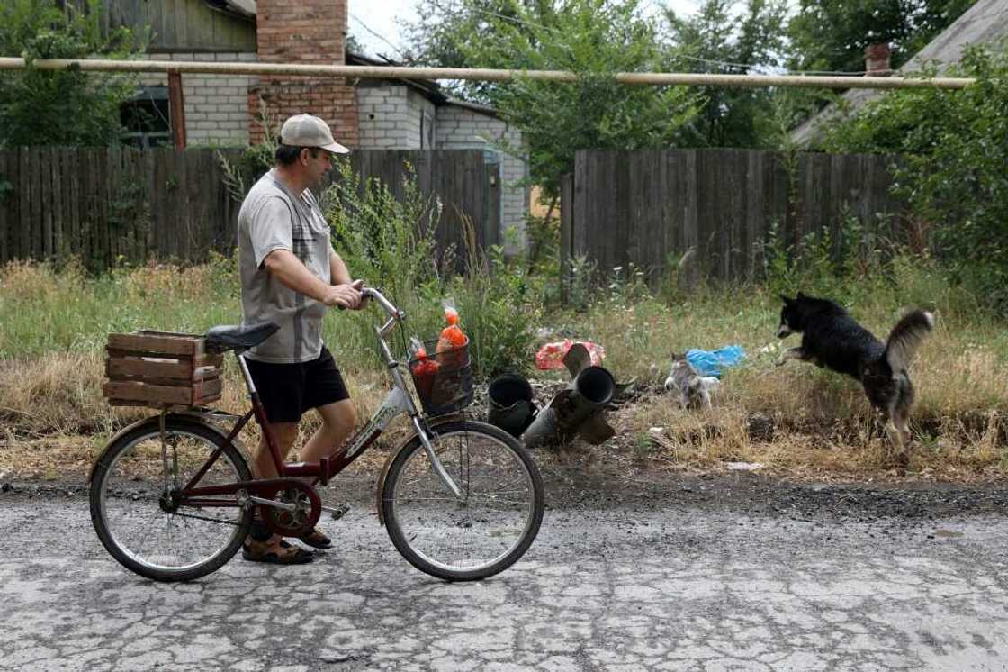 Siversk's streets are riddled with huge craters. Outside, stray cats and dogs play near the remains of rockets Siversk's streets are riddled with huge craters. Outside, stray cats and dogs play near the remains of rockets
