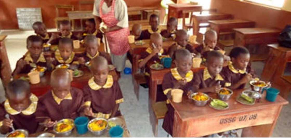 School Feeding School Feeding