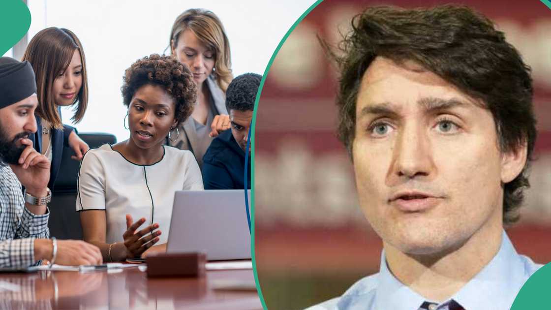 Canadian government unveils job opportunities for young people Canadian government unveils job opportunities for young people