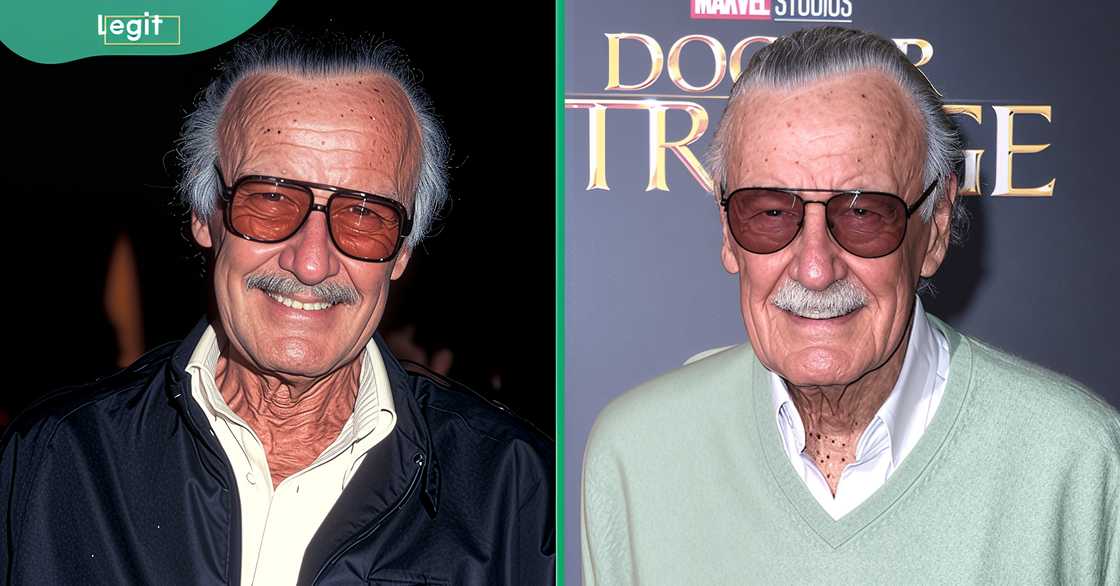 Stan Lee poses on the red carpet of the 1995 premiere of Mallrats. The comic book mogul was pictured at the 2016 premiere of Doctor Strange. Stan Lee poses on the red carpet of the 1995 premiere of Mallrats. The comic book mogul was pictured at the 2016 premiere of Doctor Strange.