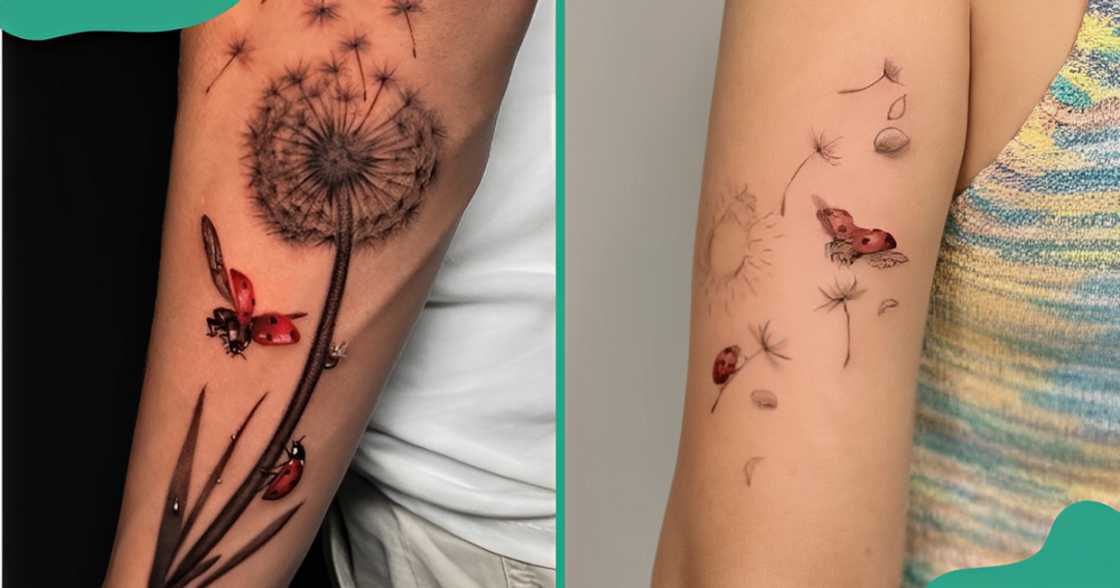 Blown dandelion tattoos with realistic ladybirds on the forearm (L) and the upper arm (R). Blown dandelion tattoos with realistic ladybirds on the forearm (L) and the upper arm (R).