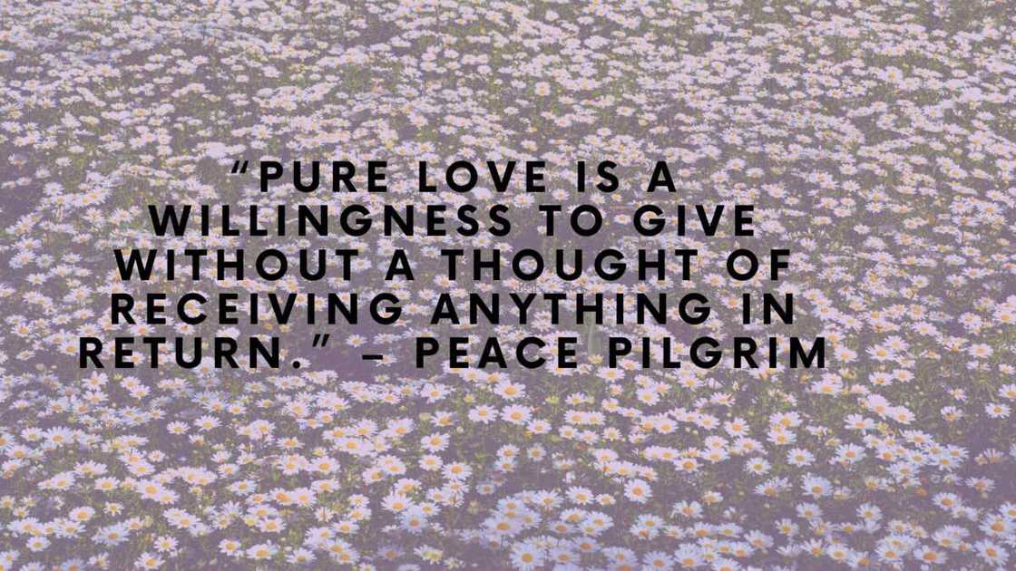 Romantic soulmate love quotes Romantic soulmate love quotes