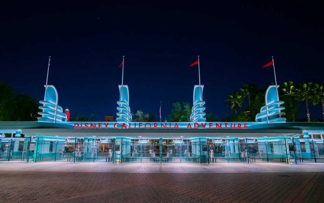 Disney net worth: how wealthy is the titular filmmaker family? Disney net worth: how wealthy is the titular filmmaker family?