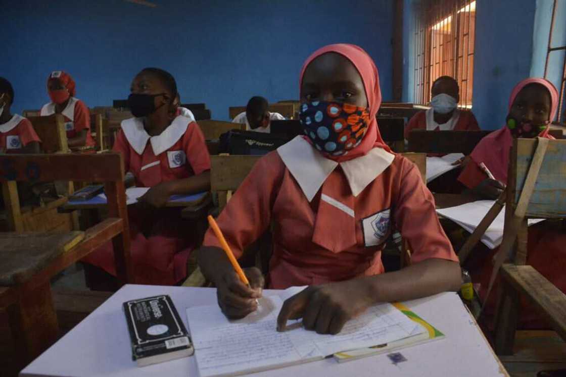 NECO postpones common entrance examination, announces new date NECO postpones common entrance examination, announces new date