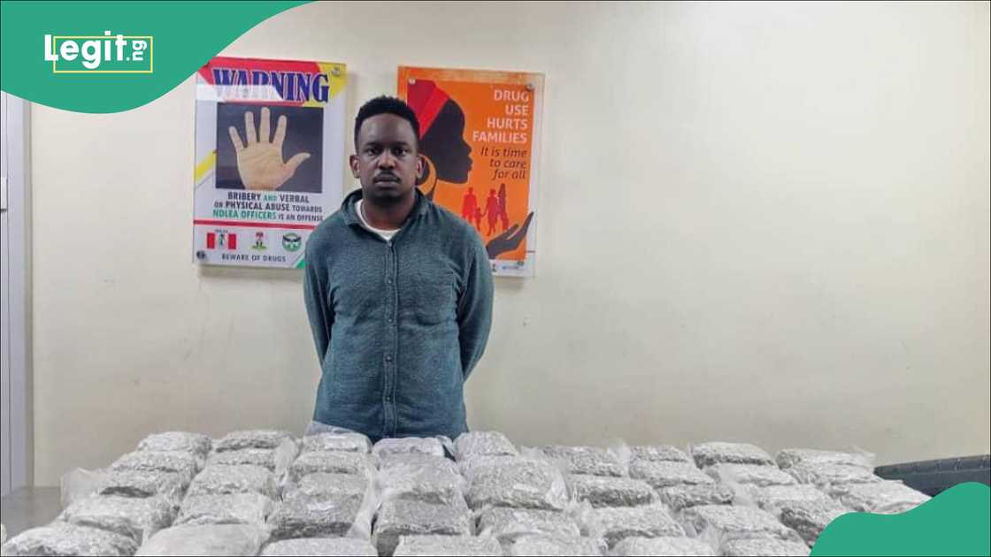 NDLEA busts British drug ring, shares details