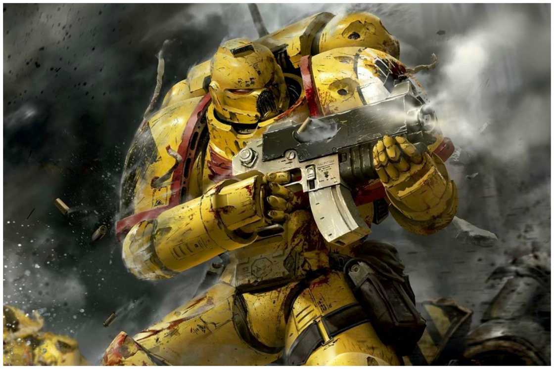 Imperial Fists Imperial Fists