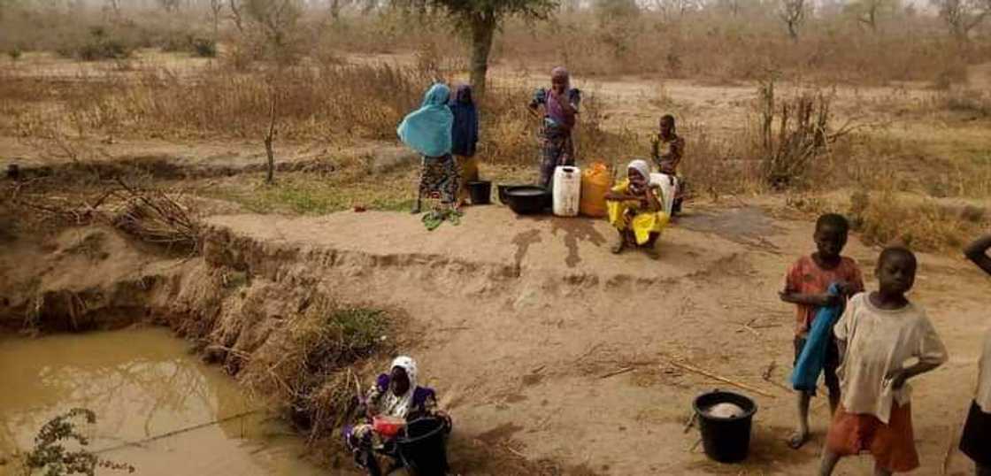 Adamawa Community Where Indigenes Drink Same Water With Their Animals