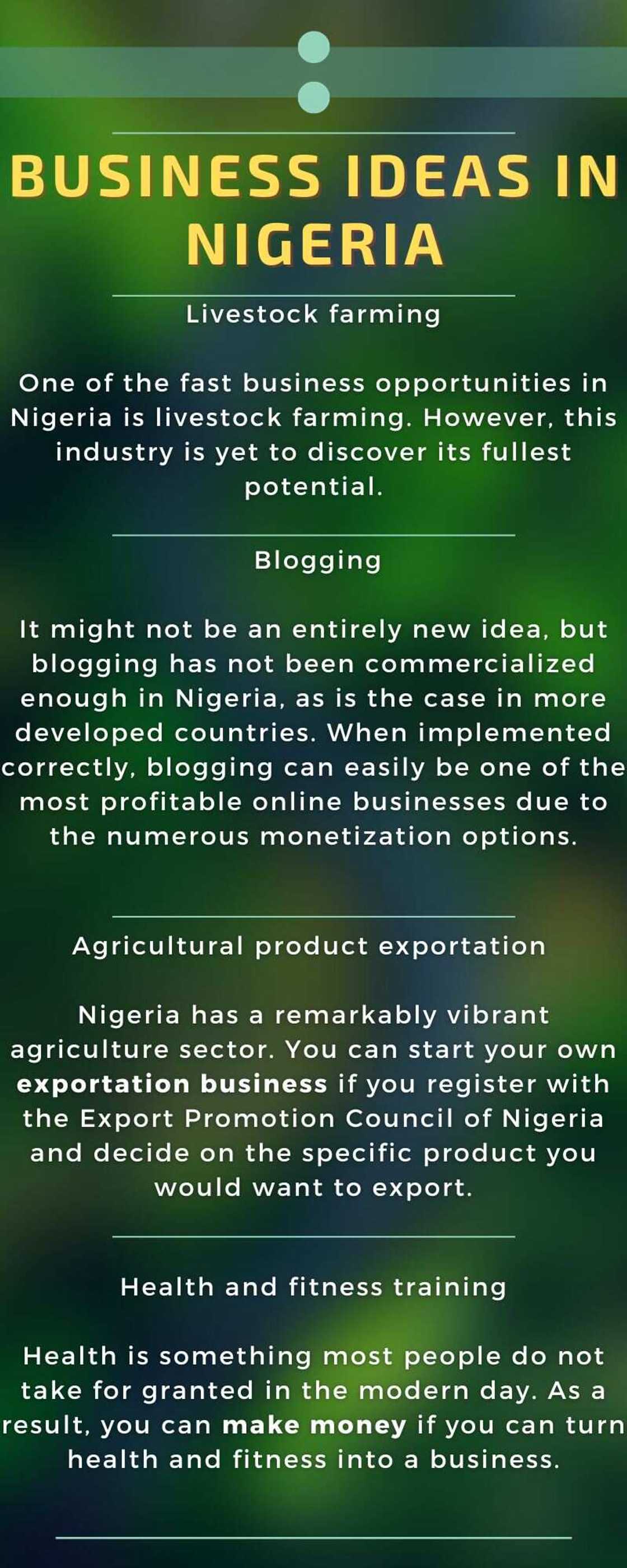 Business ideas in Nigeria Business ideas in Nigeria