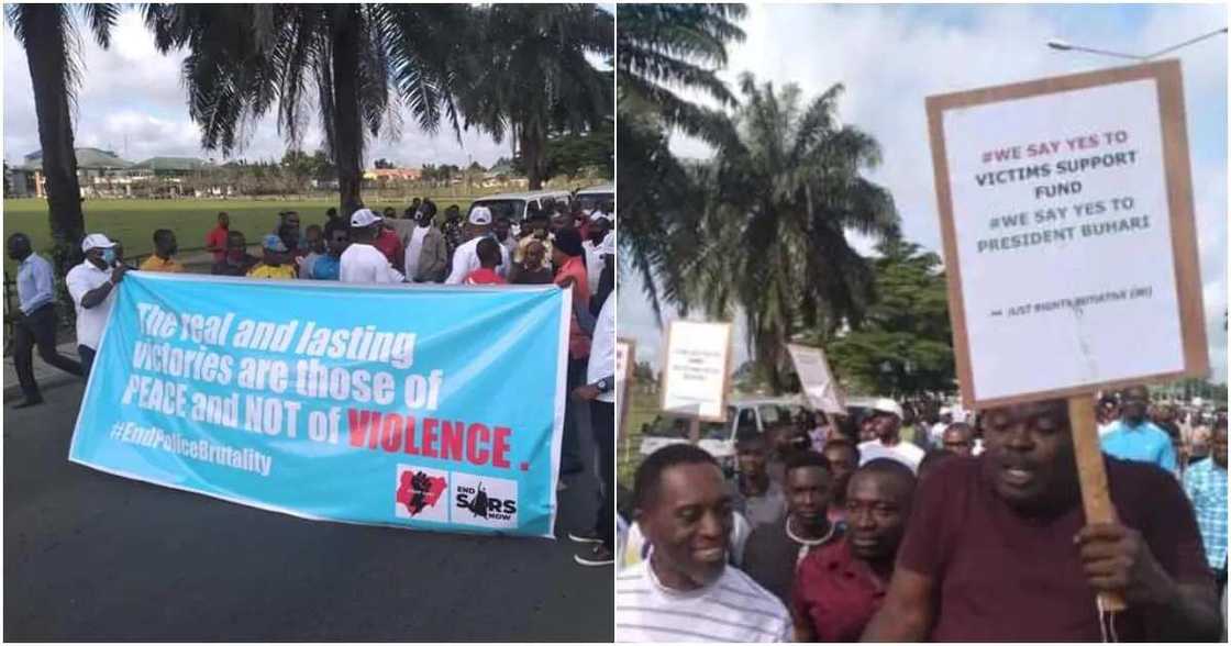 Masoyan Shugaba Buhari sun cika hanya-hanya, su na zanga-zanga a Ribas Masoyan Shugaba Buhari sun cika hanya-hanya, su na zanga-zanga a Ribas