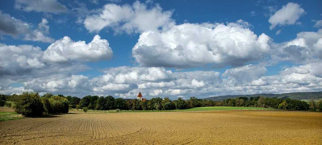 types of land tenure systems in Nigeria