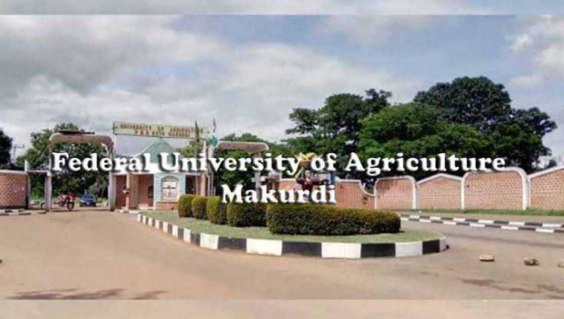 Ku Magance Matsalar Tsaron Jami’o’i Cikin Gaggawa, ASUU Ta Gargaɗi FG Ku Magance Matsalar Tsaron Jami’o’i Cikin Gaggawa, ASUU Ta Gargaɗi FG