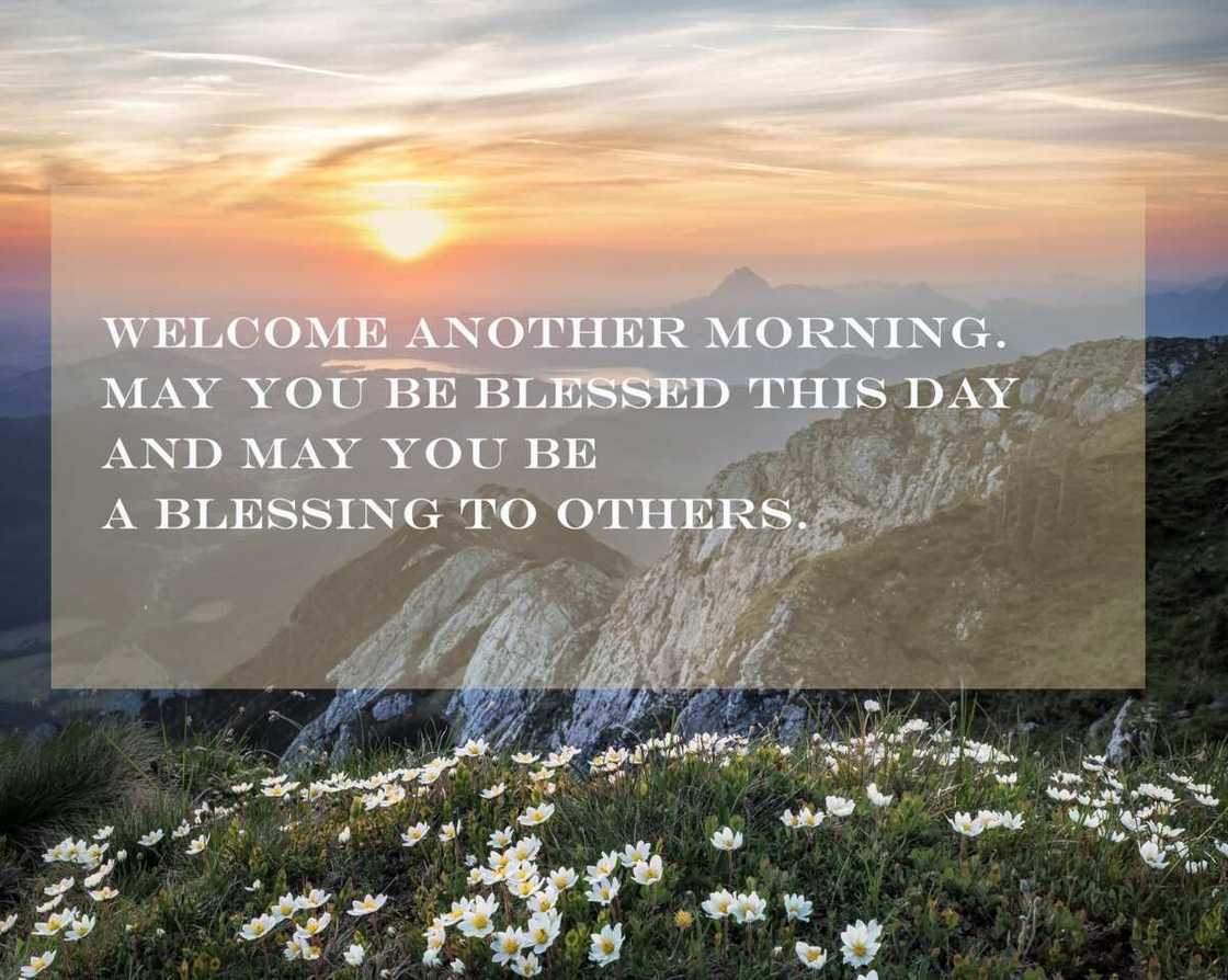 good morning friday blessings good morning friday blessings