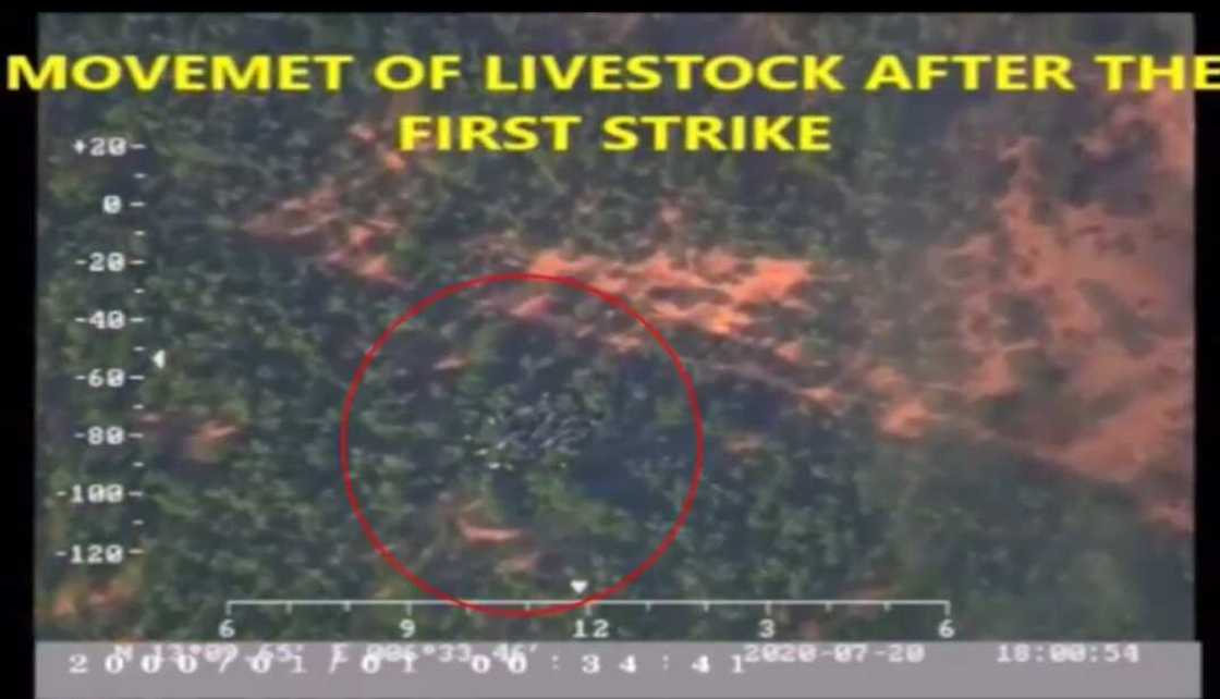 Hotuna da bidiyo: Yadda sojin sama suka ragargaza 'yan bindiga a dajin Kagara Hotuna da bidiyo: Yadda sojin sama suka ragargaza 'yan bindiga a dajin Kagara