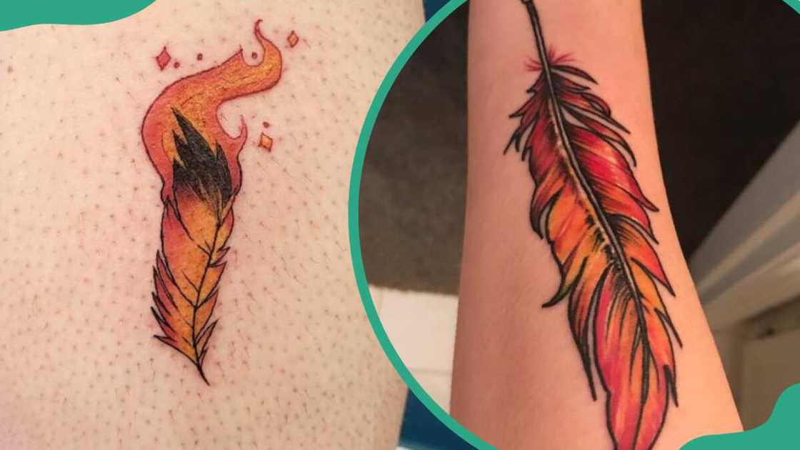 Phoenix feather tattoos Phoenix feather tattoos