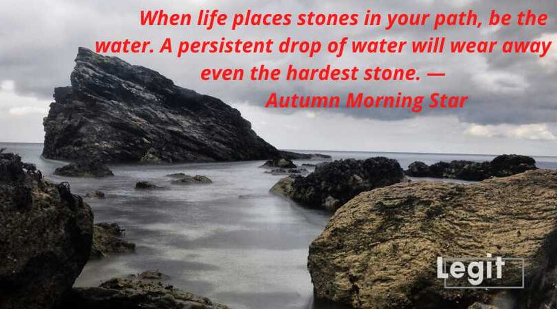 quote on water quote on water