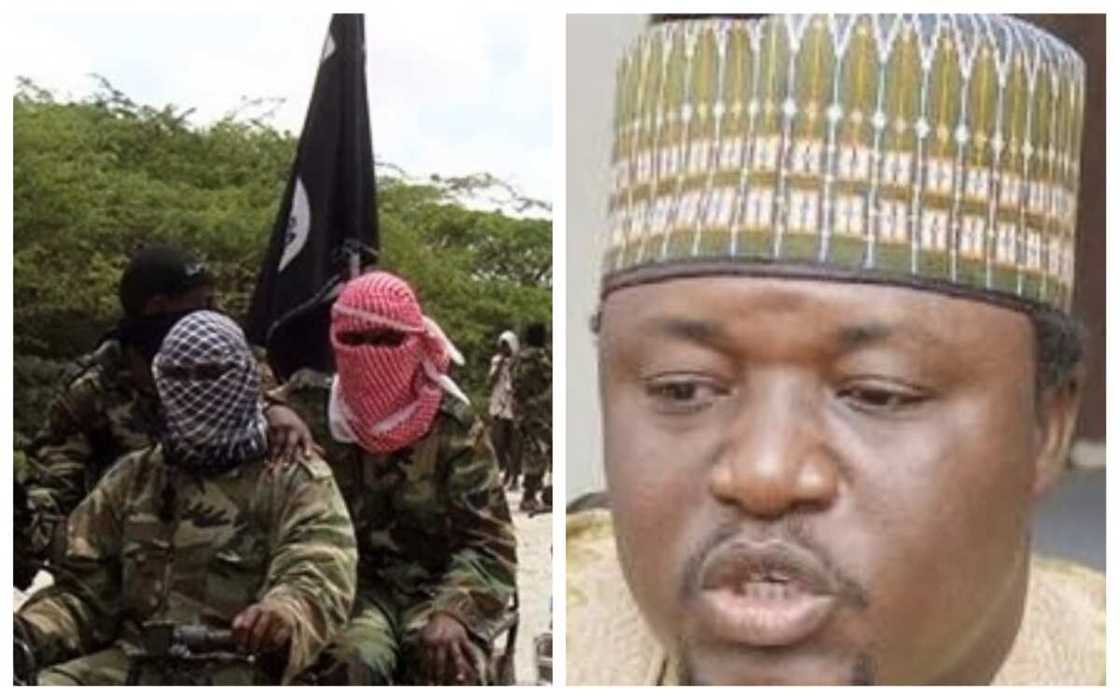 Yan Boko Haram na cin karnukansu ba babbaka a Arewa maso gabas da yamma kulli yaumin Yan Boko Haram na cin karnukansu ba babbaka a Arewa maso gabas da yamma kulli yaumin