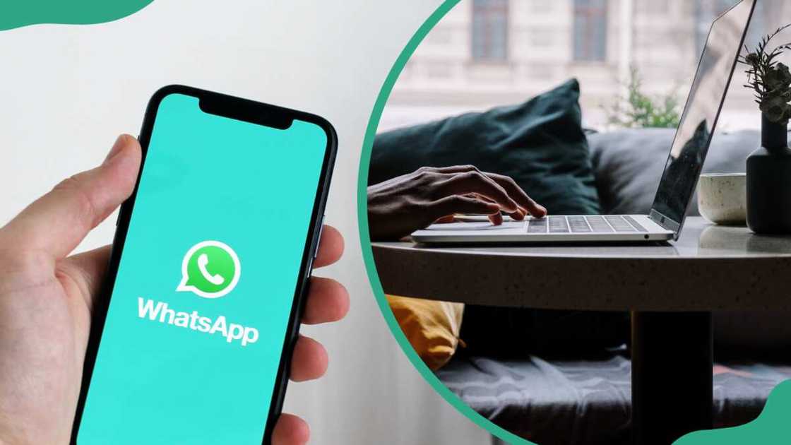 WhatsApp lets you know when users are online with new green dot feature WhatsApp lets you know when users are online with new green dot feature