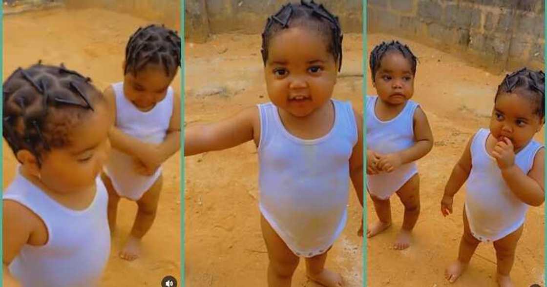 Adorable tittle twin girls go viral, netizens pray for twin blessings Adorable tittle twin girls go viral, netizens pray for twin blessings
