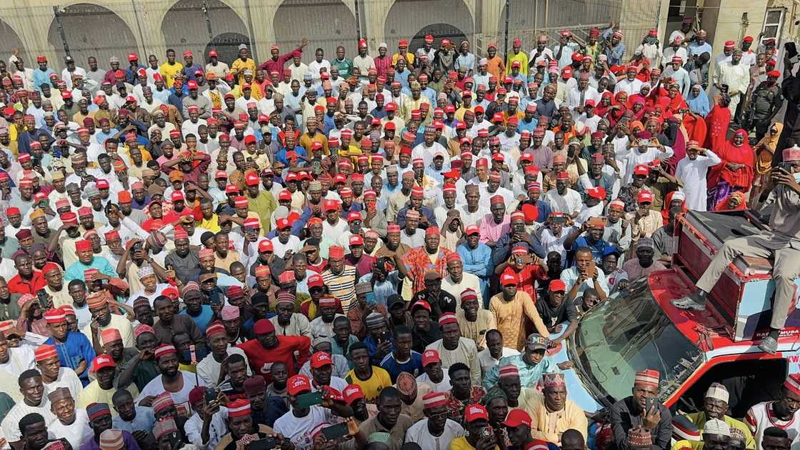 Taron 'yan Kwankwasiyya a Kano Taron 'yan Kwankwasiyya a Kano