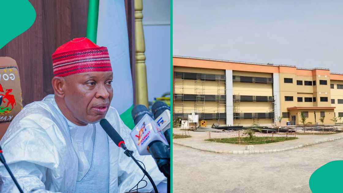 Kano State government announces it will cover healthcare for a mother and her five newborns.