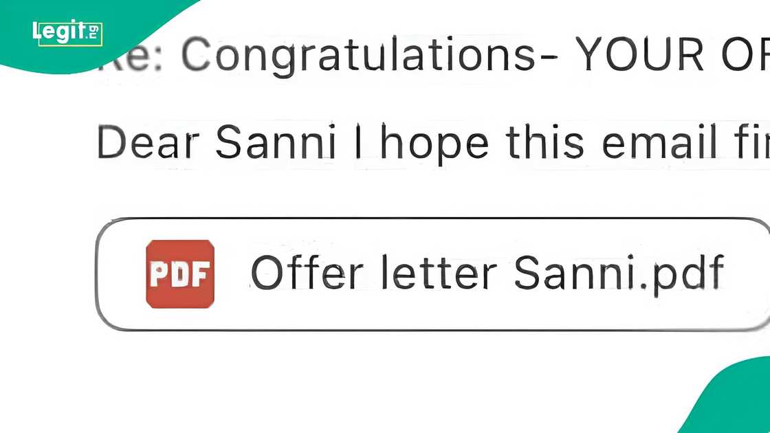 University of Ibadan graduate secures job in German school University of Ibadan graduate secures job in German school