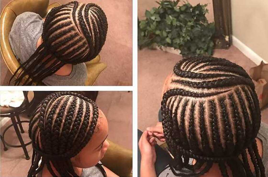 feed in braids styles