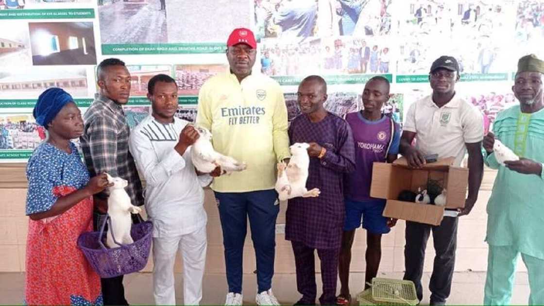 Da majalisa zai bawa 'yan mazabarsa tallafin zomo (Hoto) Da majalisa zai bawa 'yan mazabarsa tallafin zomo (Hoto)